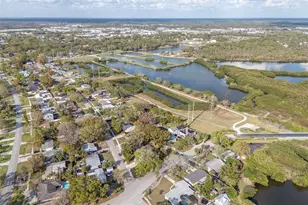 347 Country Club Dr, Oldsmar, FL 34677 - Photo 44