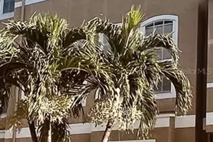 2915 Pointeview, Tampa, FL 33611 - Photo 1