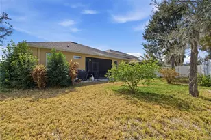 10420 Pleasant Spring Way, Riverview, FL 33578 - Photo 22