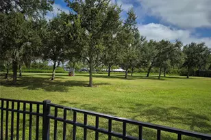 2700 Bayshore Blvd, Dunedin, FL 34698 - Photo 48