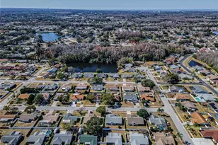 4415 Royal Oak Ln, New Port Richey, FL 34653 - Photo 48