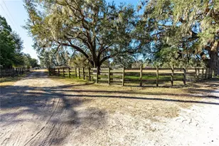27430 Miller Rd, Dade City, FL 33525 - Photo 16
