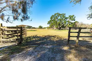27430 Miller Rd, Dade City, FL 33525 - Photo 22