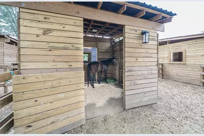 8540 Boyt Road, Zephyrhills, FL 33540 - Photo 72