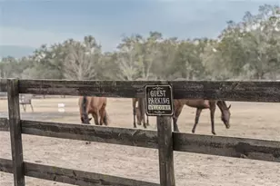 8540 Boyt Rd, Zephyrhills, FL 33540 - Photo 38