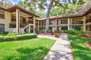 110 Hammock Pine Blvd, Clearwater, FL 33761 - Photo 1