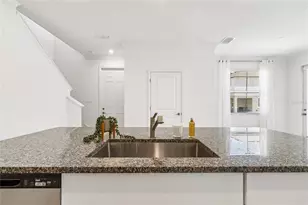 10811 Fowlers Blf Ct, Tampa, FL 33647 - Photo 10