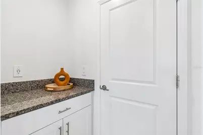 10811 Fowlers Bluff Court, Tampa, FL 33647 - Photo 20