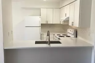 607 Omaha St, Palm Harbor, FL 34683 - Photo 8