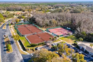 1040 Dartford Dr, Tarpon Springs, FL 34688 - Photo 60