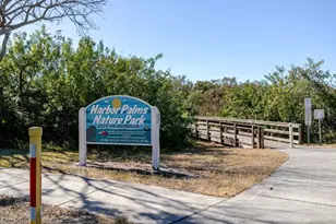 709 Lemonwood Dr, Oldsmar, FL 34677 - Photo 54