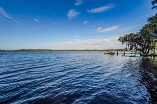 2968 Macalpin Dr N, Palm Harbor, FL 34684 - Photo 72