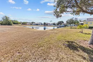 11466 Captiva Kay Dr, Riverview, FL 33569 - Photo 30