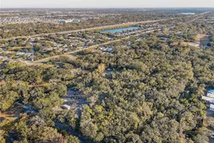 8849 Richmond St, Gibsonton, FL 33534 - Photo 38