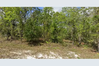 14135 Eastern Phoebe Road, Brooksville, FL 34614 - Photo 1