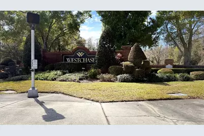 10023 Tate Lane, Tampa, FL 33626 - Photo 48