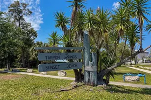 723 Pent St, Tarpon Springs, FL 34689 - Photo 36