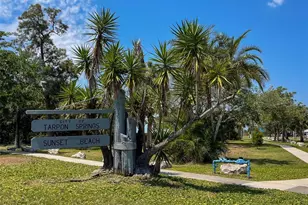 723 Pent St, Tarpon Springs, FL 34689 - Photo 38