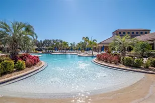 125 Shell Falls Dr, Apollo Beach, FL 33572 - Photo 40