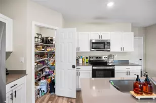 7798 Peace Lily Ave, Wesley Chapel, FL 33545 - Photo 10