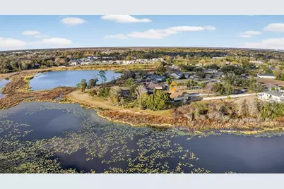 19902 Dolores Ann Court, Lutz, FL 33549 - Photo 56