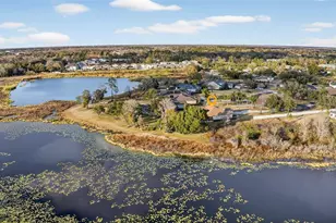 19902 Dolores Ann Ct, Lutz, FL 33549 - Photo 56