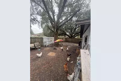 1005 W Washington Street, Plant City, FL 33563 - Photo 12