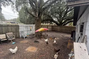 1005 W Washington St, Plant City, FL 33563 - Photo 12