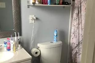 4417 Perch St, Tampa, FL 33617 - Photo 8