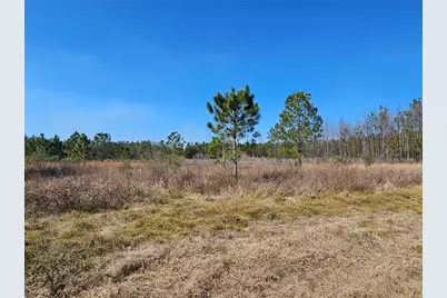 13308 Duck Lake Canal Road, Dade City, FL 33525 - Photo 60