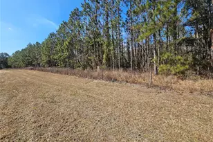 13308 Duck Lake Canal Rd, Dade City, FL 33525 - Photo 14