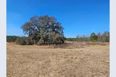 13308 Duck Lake Canal Road, Dade City, FL 33525 - Photo 34