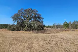 13308 Duck Lake Canal Rd, Dade City, FL 33525 - Photo 34