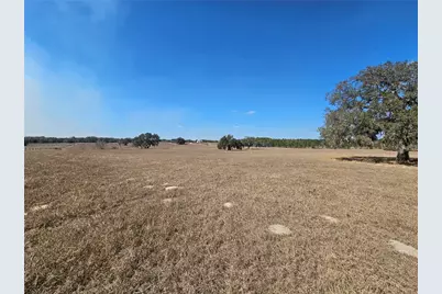 13308 Duck Lake Canal Road, Dade City, FL 33525 - Photo 32