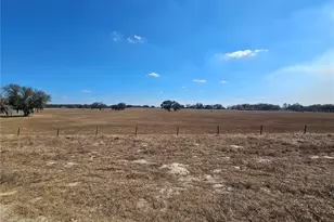 13308 Duck Lake Canal Rd, Dade City, FL 33525 - Photo 40