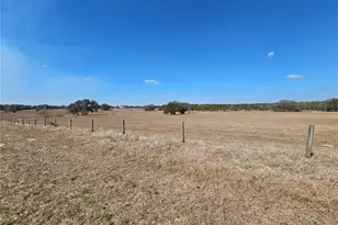 13308 Duck Lake Canal Rd, Dade City, FL 33525 - Photo 28