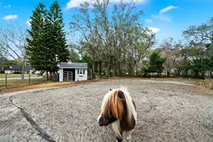 6568 Millstone Dr, New Port Richey, FL 34655 - Photo 54