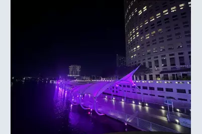 2314 S Clewis Court #204, Tampa, FL 33629 - Photo 30