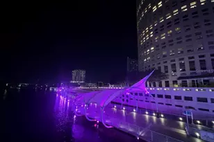 2314 S Clewis Ct, Tampa, FL 33629 - Photo 30