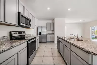 16005 Weathered Windmill Terrace, Odessa, FL 33556 - Photo 10