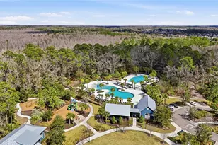 18138 Frame Bend, Land O Lakes, FL 34638 - Photo 54