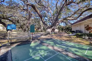 865 Virginia Ct, Dunedin, FL 34698 - Photo 22