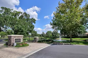 9916 Menander Wood Ct, Odessa, FL 33556 - Photo 64