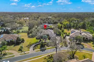 9916 Menander Wood Ct, Odessa, FL 33556 - Photo 2