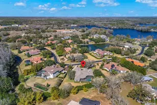 9916 Menander Wood Ct, Odessa, FL 33556 - Photo 70
