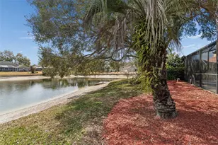 16711 Longleat Dr, Lutz, FL 33549 - Photo 60