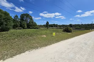 33111 Square Stone St, Ridge Manor Estates, FL 33597 - Photo 1