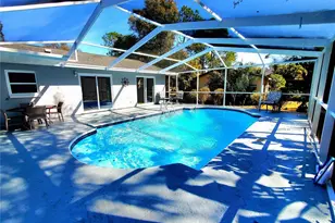 804 Robin Ave, Palm Harbor, FL 34683 - Photo 46