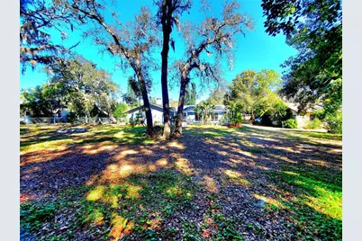 804 Robin Avenue, Palm Harbor, FL 34683 - Photo 54