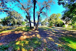 804 Robin Ave, Palm Harbor, FL 34683 - Photo 54